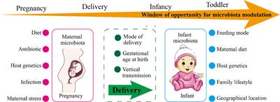 The Role of Microbiota in Infant Health: From Early Life to Adulthood